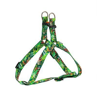 Шлея ТМ HiDOG "Abstraction green", размер XS (обхват грудной клетки 26-40см, ширина-10мм) 1045 фото