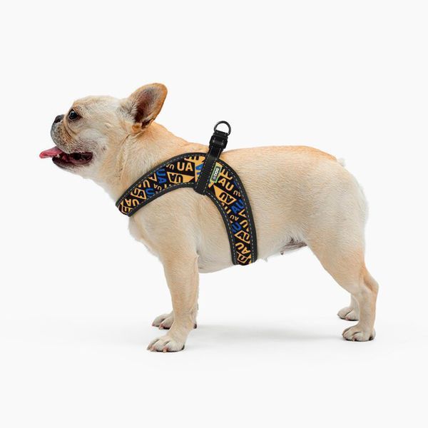 Шлея ТМ HiDOG COMFORT "Молодіжний", розмір XXS (обхват грудної клітини 28-34см) 1036 фото