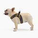 Шлея ТМ HiDOG COMFORT "Молодіжний", розмір XXS (обхват грудної клітини 28-34см) 1036 фото 4