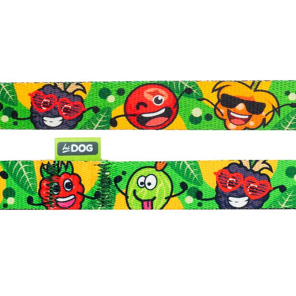 Нашийник для кота ТМ HiDOG "Crazy green fruits", розмір XS (ширина 10мм, обхват шиї 18-28см) 1055 фото