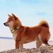 Ошейник для собаки ТМ HiDOG "Flowers yellow", размер S (ширина 16мм, обхват шеи 25-33см) 1019 фото 4
